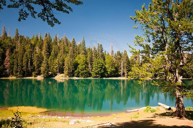 Gazela Bungalov 1 Mojkovac Dış mekan fotoğraf